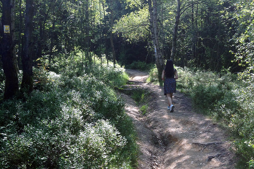 Wandelroute naar Kahler Asten